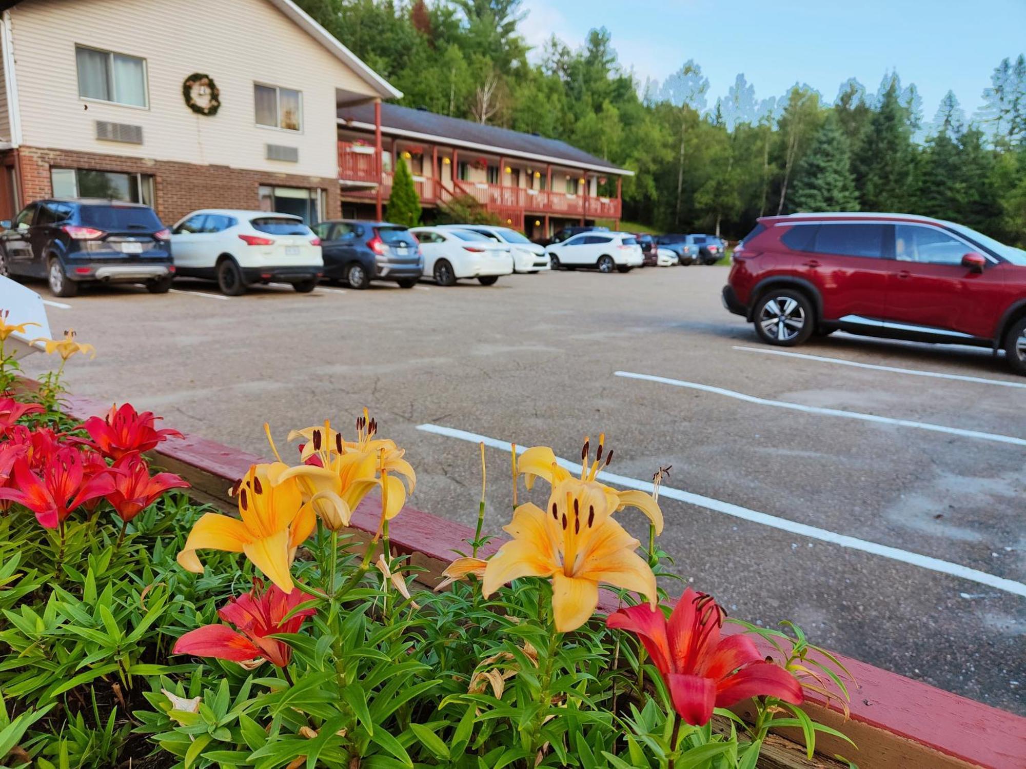 Motel Le Radisson De Val-David Kültér fotó